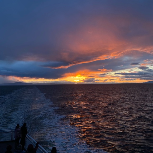 Meet your Posher, Ruby - Picture 1 of 1